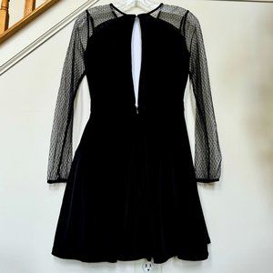 Sheer Long Sleeves Mini Dress